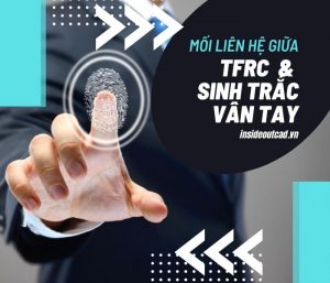 Chỉ số TFRC & Sinh trắc vân tay