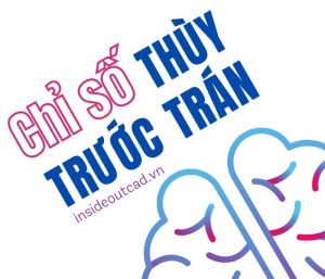 Chỉ số thùy trước trán