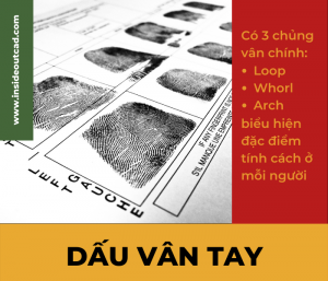 Tìm hiểu về dấu vân tay