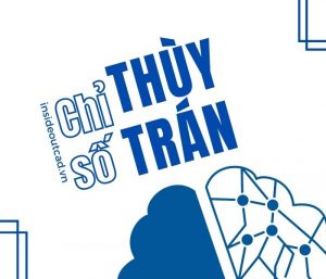 Chỉ số thùy trán