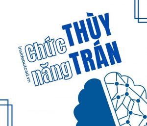 Chức năng thùy trán