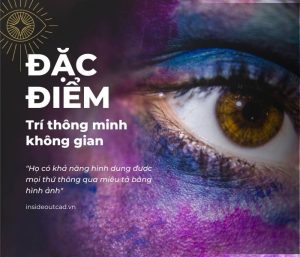Đặc điểm trí thông minh không gian