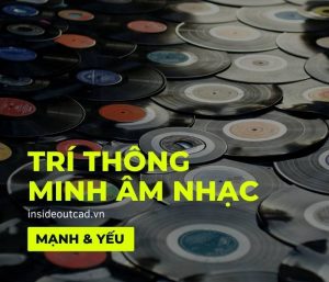 Điểm mạnh điểm yếu trí thông minh âm nhạc