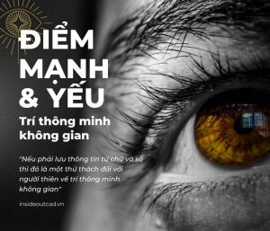 Điểm mạnh điểm yếu trí thông minh không gian