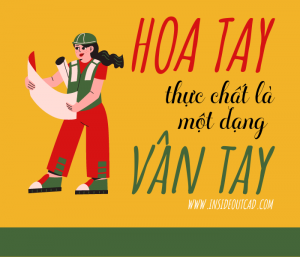 Khái niệm hoa tay