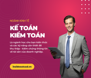Nhóm ngành kinh tế thứ #4: Ngành kế toán/kiểm toán