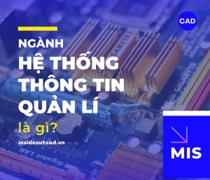 Ngành hệ thống quản lý thông tin là gì?