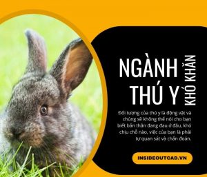 Những cái khó khi học ngành Thú y