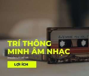 Lợi ích trí thông minh âm nhạc