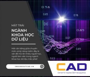 Góc khuất ngành Khoa học dữ liệu 