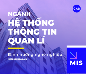 Học ngành hệ thống quản lý thông tin