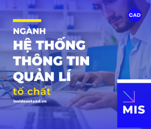 Bạn có phù hợp để học ngành quản lý hệ thống thông tin?