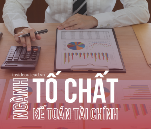 Học ngành Kế toán tài chính