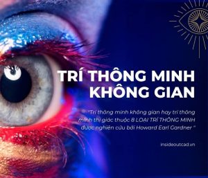 Trí thông minh không gian