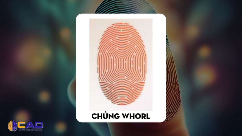 Chủng vân tay nước (UL) có tính cách như thế nào?