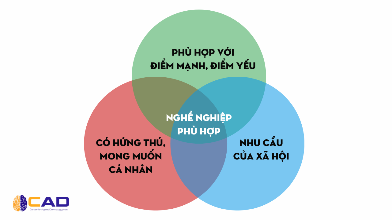thuyết con nhím, 3 yếu tố trong hướng nghiệp