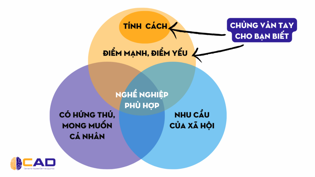 DỰA TRÊN CHỦNG VÂN TAY WD CÓ ĐỦ CƠ SỞ ĐỂ LỰA CHỌN NGHỀ NGHIỆP PHÙ HỢP?