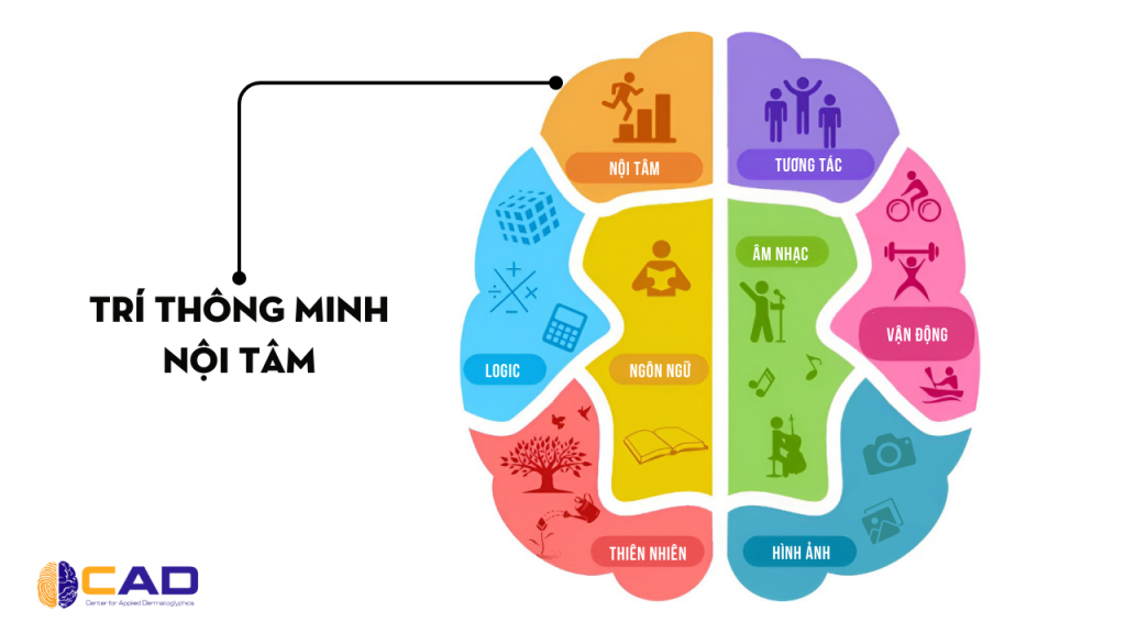 trí thông minh nội tâm