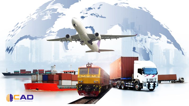 ngành giao thông vận tải là gì?