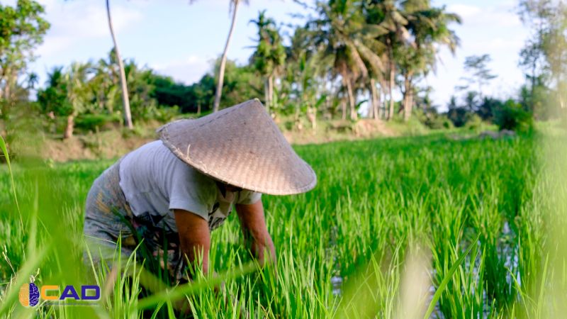 Ngành nông nghiệp cần sự kiên trì, chịu khó