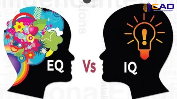 IQ và EQ khác nhau như thế nào?